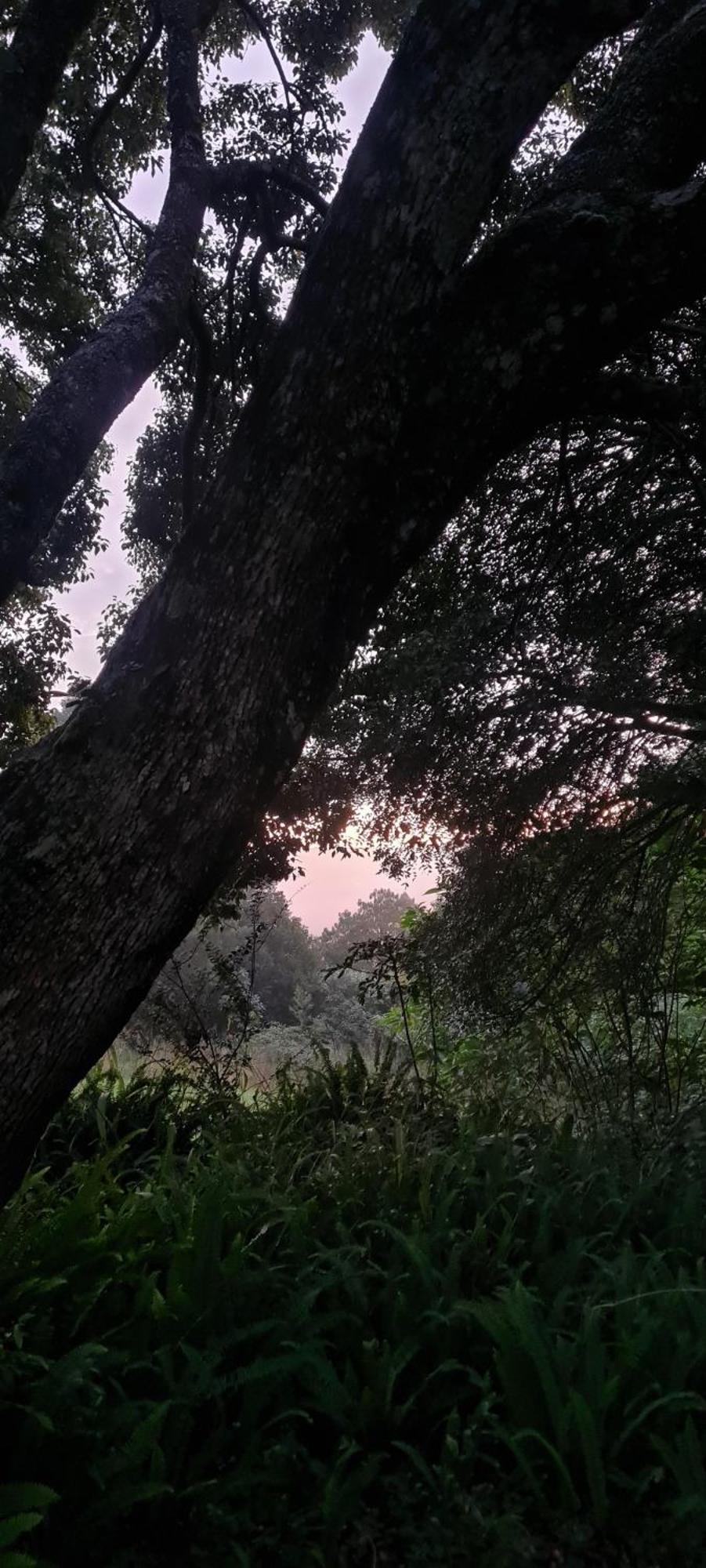 Mosswood Bed & Breakfast グラスコップ エクステリア 写真