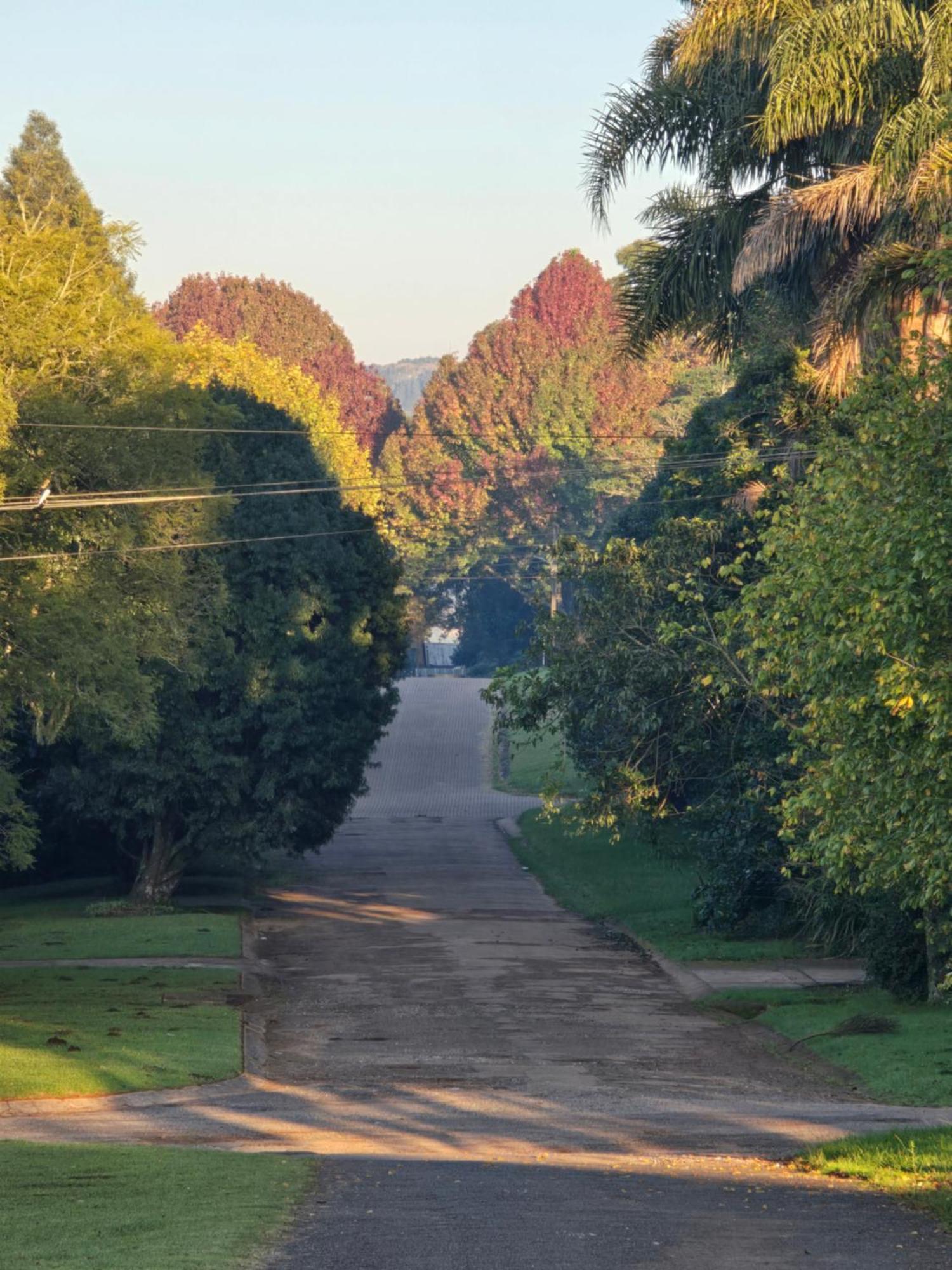 Mosswood Bed & Breakfast グラスコップ エクステリア 写真