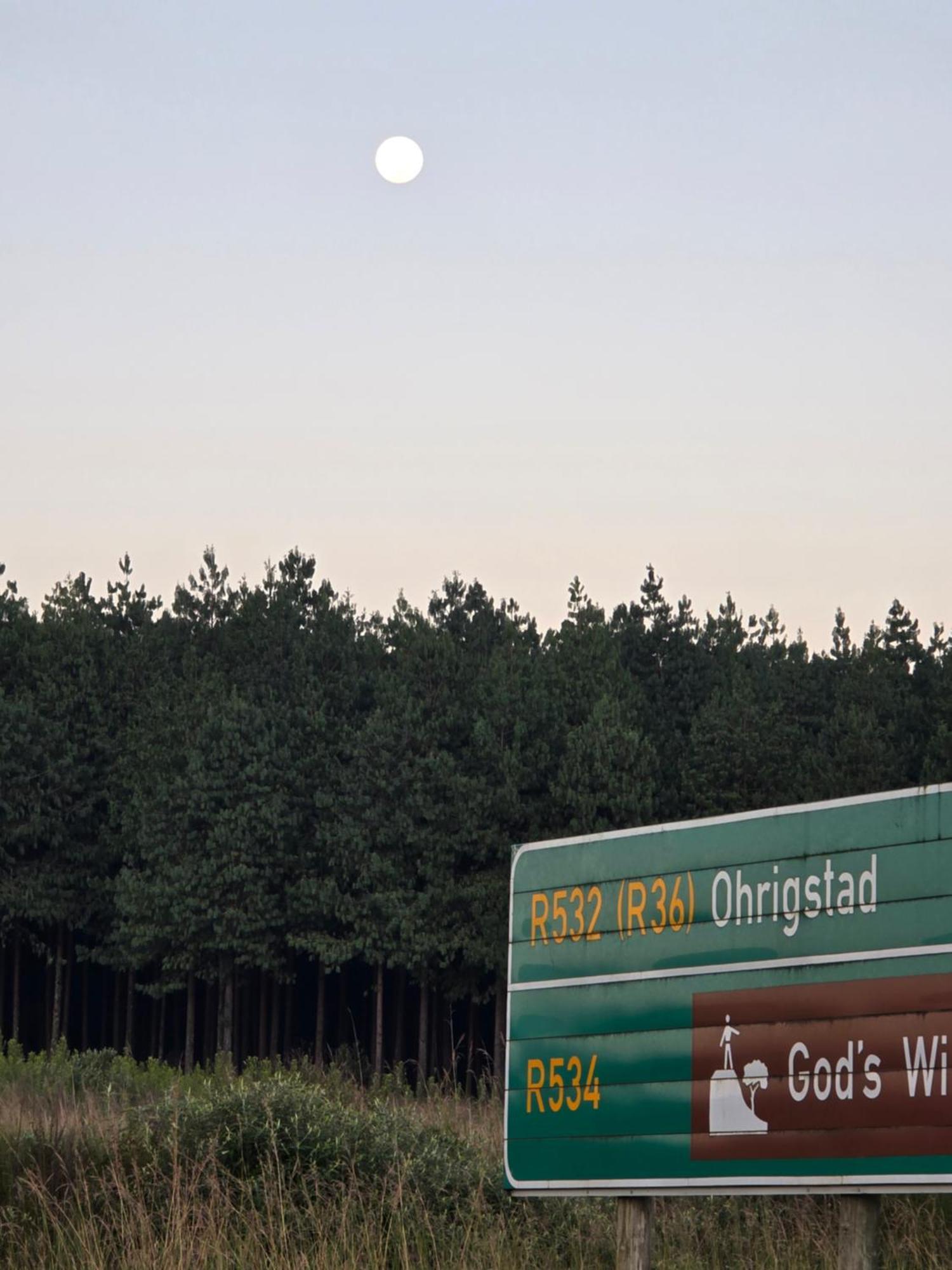 Mosswood Bed & Breakfast グラスコップ エクステリア 写真